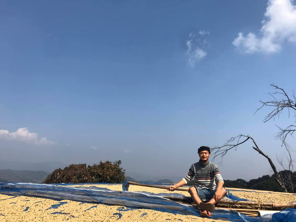 YONGYUTH " Washed "  ( Light Roast คั่วอ่อน )