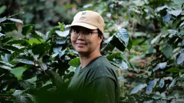 BUKO " Honey " ( Light Roast คั่วอ่อน )