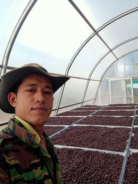 ANUSORN " Natural " ( Light Roast คั่วอ่อน )