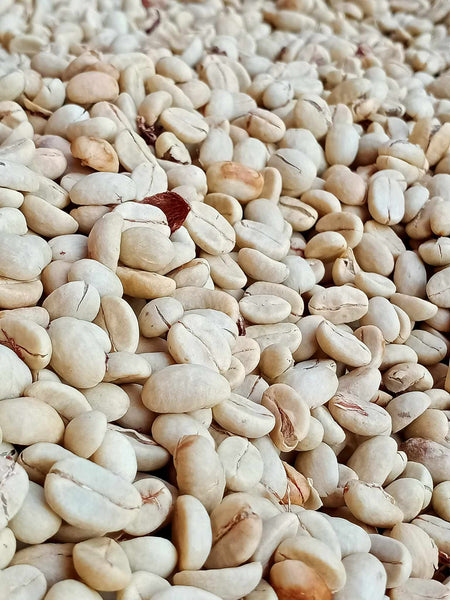 ANUSORN " Washed " ( Light Roast คั่วอ่อน )
