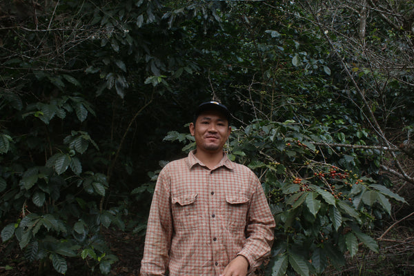 SINGHA " Washed " ( Light Roast คั่วอ่อน )