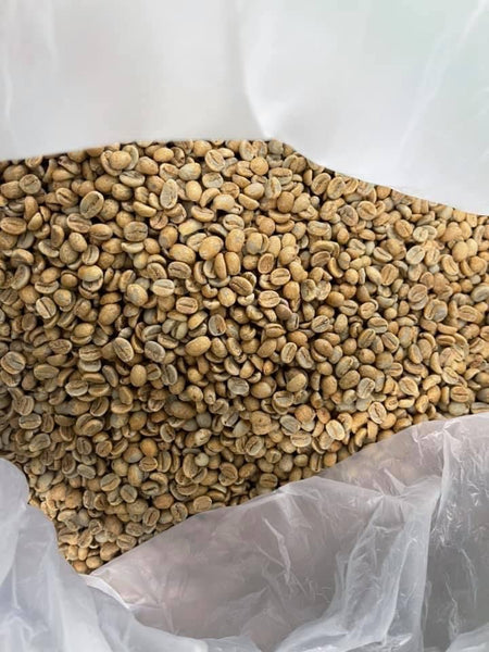 YONGYUTH " Washed "  ( Light Roast คั่วอ่อน )