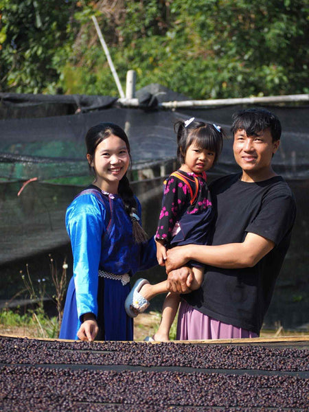 ANCHISA " Washed " ( Light Roast คั่วอ่อน )