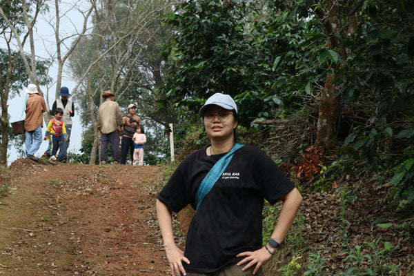 BUKO " Honey " ( Light Roast คั่วอ่อน )