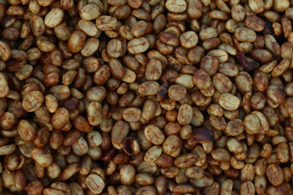 Buko " Honey " ( Light Roast คั่วอ่อน )
