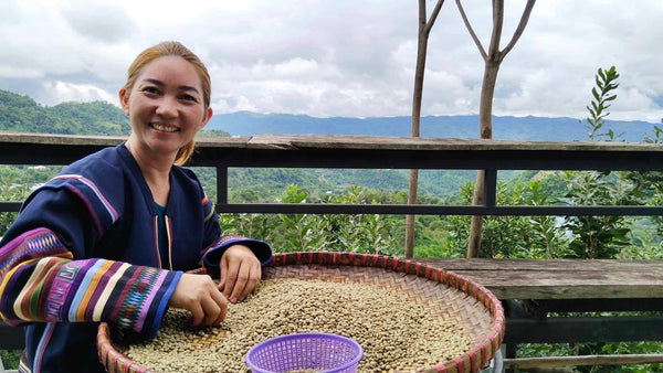 ASOOM " Natural " ( Light Roast คั่วอ่อน )