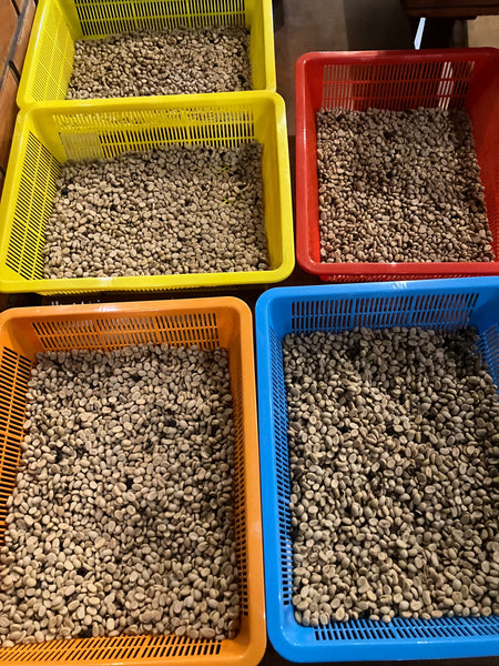 Anun " Washed " ( Light Roast คั่วอ่อน )