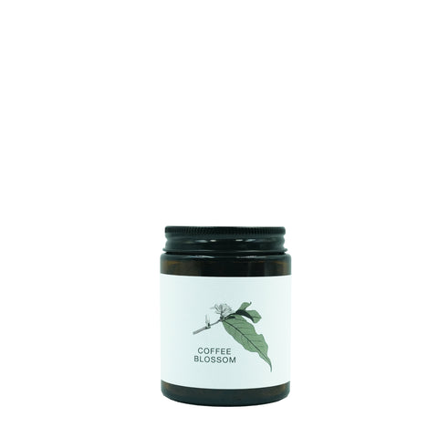 COFFEE BLOSSOM ชาดอกกาแฟ
