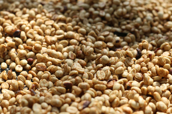 AYO & MIKA " Honey " ( Light Roast คั่วอ่อน)