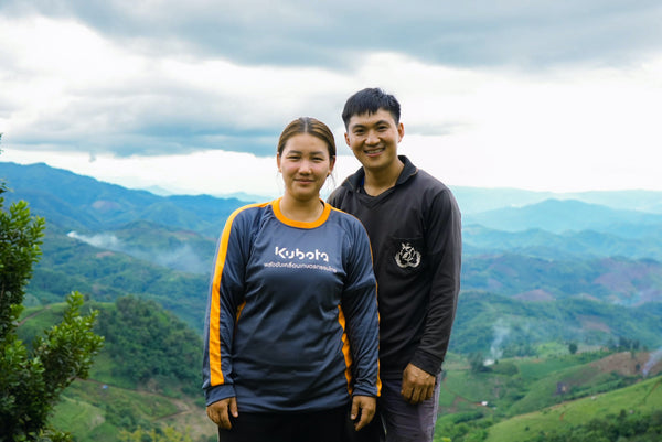 AYO & MIKA " Honey " ( Light Roast คั่วอ่อน)