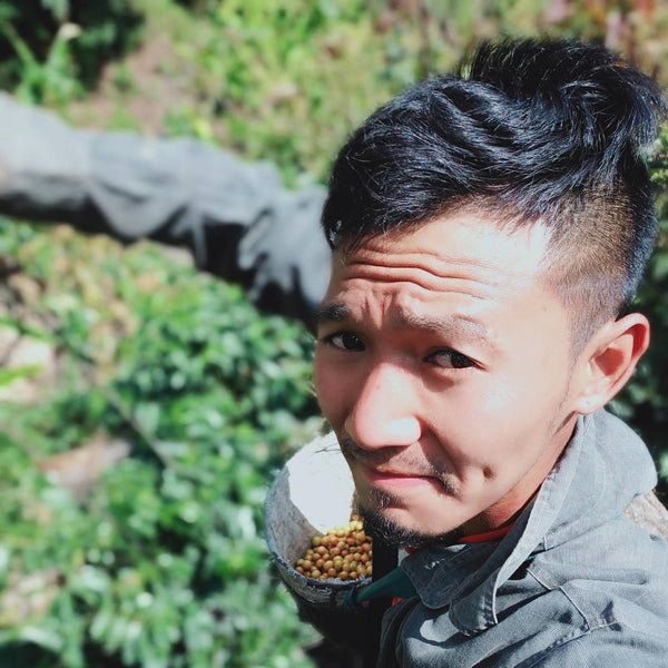 LIGER " Natural " ( Light Roast คั่วอ่อน )